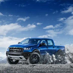 Slika za kategoriju Raptor